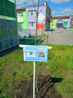 Сад памяти Сад памяти.